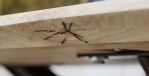 40150024-2_image_3